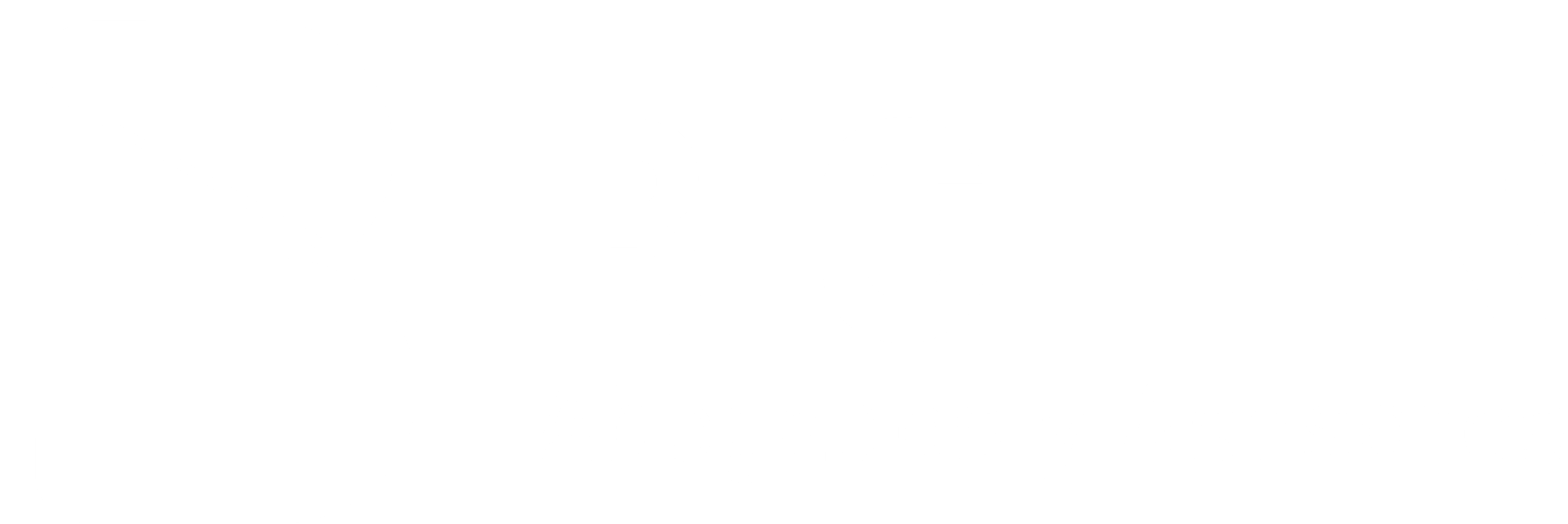 Bigler logo